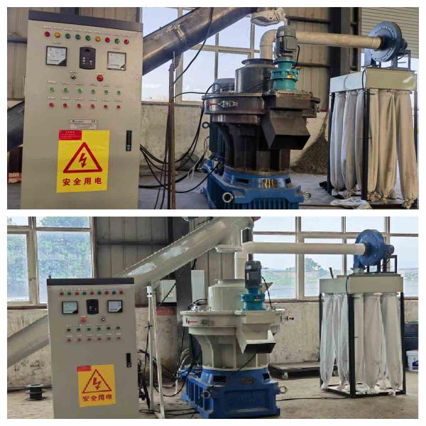 лепешки силы биомассы машины лепешки черенок мозоли 4ton/H деревянные делая машину