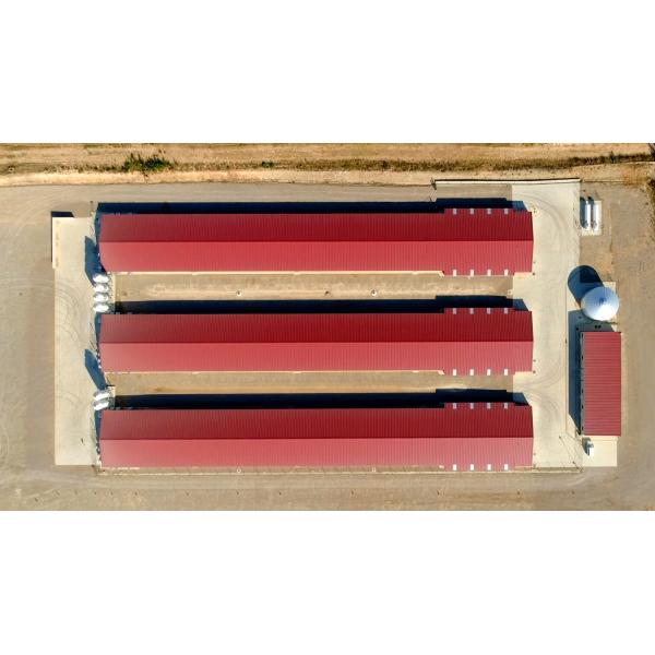 Система клеток для бройлеров птицеводческих хозяйств с чертежным дизайном MTS и стальным классом