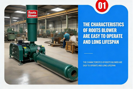 Roots Blower 5.5kw Shrimp Farming Aerator High Pressure for Fish Pond Aquaculture