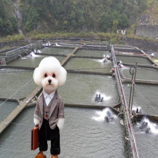 Length 50m-200m/roll Made HDPE Geomembrane for Aquaculture Pond Liners Direct Supply