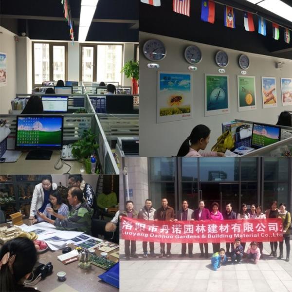 Красивый подгонянный пефорированный блок ветерка вентиляции кирпичной стены терракоты красный для гостиницы