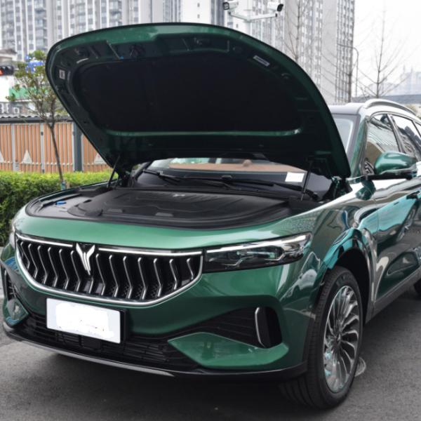 Середина версии SUV свободного 2021 2 привода VOYAH чистая электрическая большая