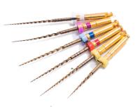 Ativação super do calor do ouro do motor de Dorit Endo File Instruments Rotary Endodontic do canal de raiz