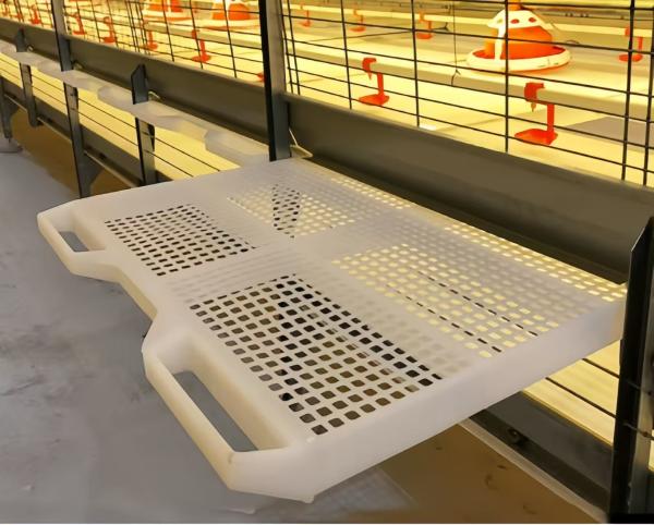 Automatic Harvesting Broiler Cage Steel Poultry Houses