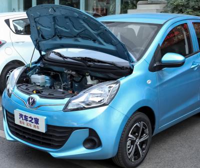 Passager de remplissage rapide micro de la berline avec hayon arrière 101km/H de l'E-étoile EV de Changan de véhicule électrique