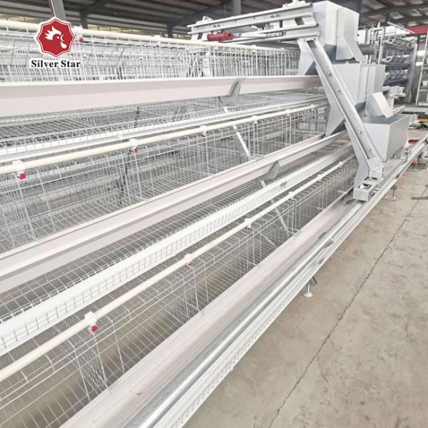 A Type Chicken Layer Cage For Egg Laying Hens