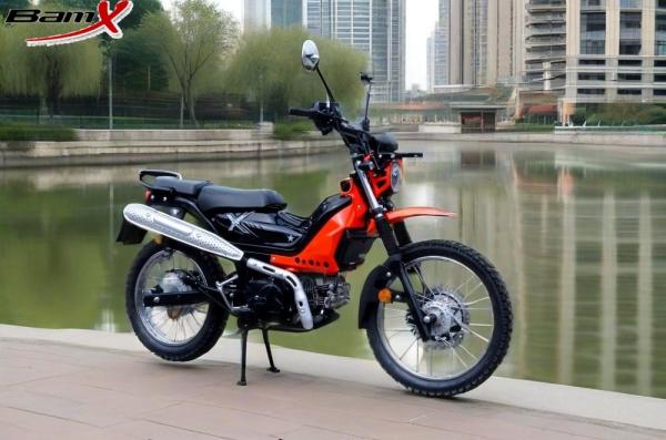 Single Cylinder Scooter Gas CUB Motorcycle 125cc Bike 2.1l Off Road Dirt Bike Pocketbike