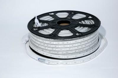 Red / Green / Blue Exterior LED Flexible Strip Lights , Outdoor Led Rope Lights