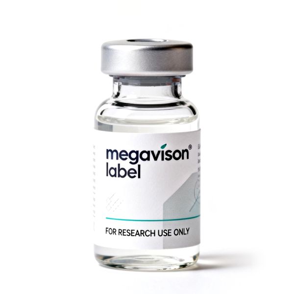Custom Waterproof Self-Adhesive Packaging Label Roll Private Logo White PET Labels for Vial Glass Bottles