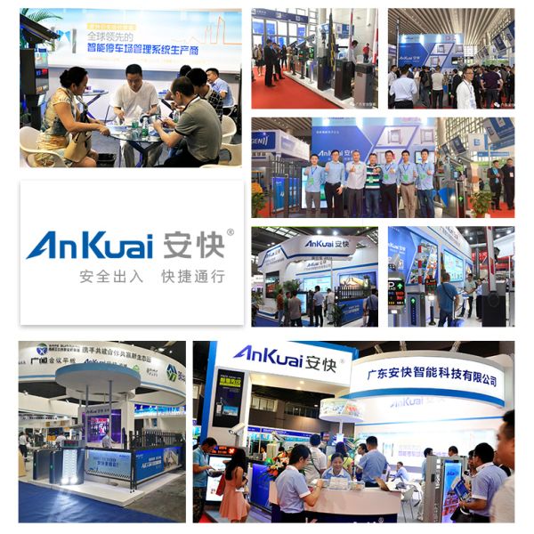 Automatic Hydraulic Bollard with 304/316 Stainless Steel LED Lights and Hydraulic System for Secure Parking