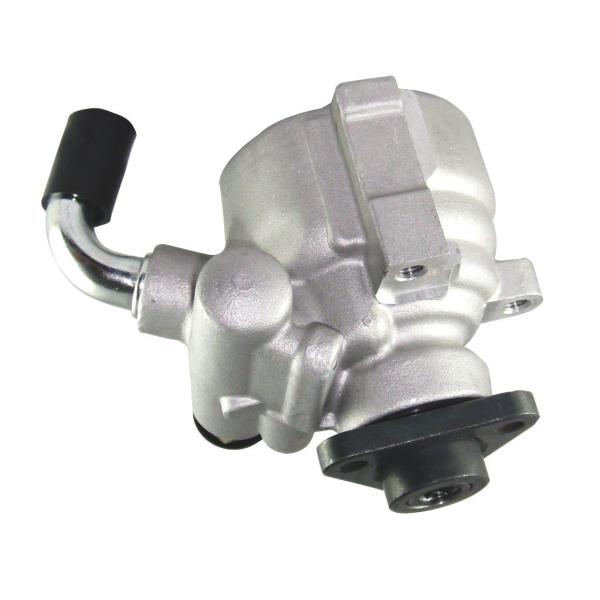 Steel 46410956 Hydraulic Power Steering Pump For Fiat Tempra