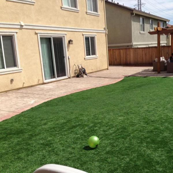 2M Or 4M Wide Synthetic Outdoor Carpet / Home Real Grass Carpet Roll