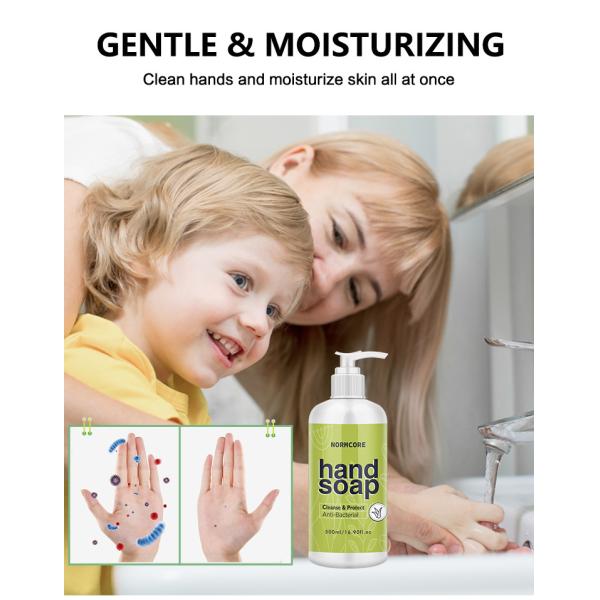 EU Qualified Hotel Hand Wash , Essentical Oil Coconut Hand Soap Liquid 300ML