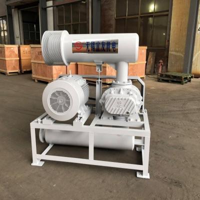 Tipo econômico ventilador das raizes