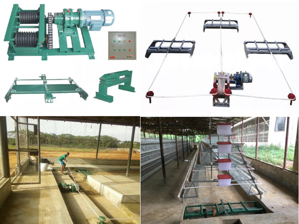 Цена клетки батареи слоя эффективности в Нигерии Эмили