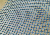 Verduras azules de Mesh Belt For Fruit And del secador del agujero del poliéster 0.5m m del color