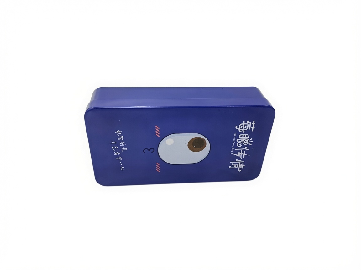 Customized Dadi Rectangular Tin Storage Box with Lid Durable Metal Canister for Cookies, Biscuits, Candies and Snacks