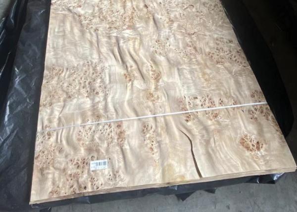 Mappa Burl Wood Veneer Length 0.5m-2m / 2cm-2.44m/ 2.45m-3.6m