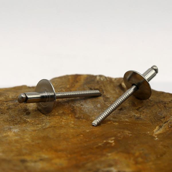 Thread Electroplating Stainless Steel Pull Rivet Cold Heading Crafts
