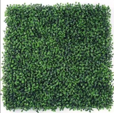 50cm*50cm Size Artificial Wall Grass UV Resistant Durable Long Lasting Aesthetic Appeal