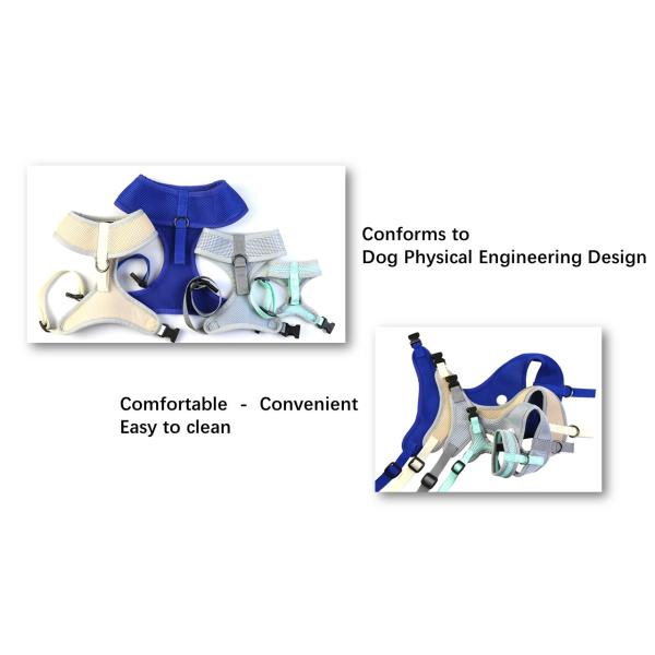 Конструированная проводки собаки логотипа XX пряжка безопасности предохранения от падения небольшой реверзибельная