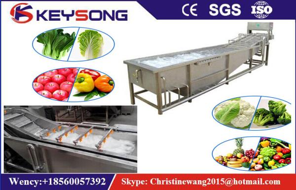 Rooted Plant Fruit And Vegetable Processing Machinery Washing Equipment  Large Capacity