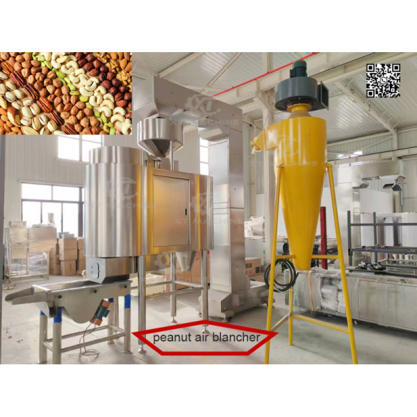 50-100kg/h Constant Velocity SUS304 Z Bucket Elevator with 0.75KW Power for Nut Processing