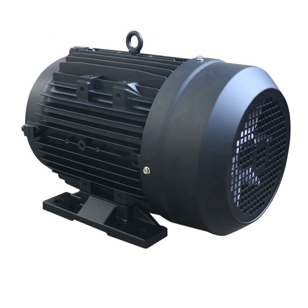 20 Mm Shaft Diameter Hollow Shaft Motor Frame 100 Precision Electric Motor Ideal for Conveyor Systems and Machine Tools