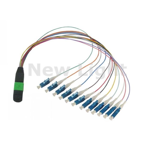 12 Core Single Mode MPO MTP Cable Factory Terminated for High Density Data Networks
