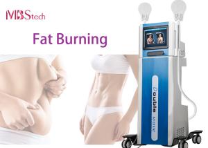 Electric Fat Burning Muscle Build EMS EMShapeing Machine