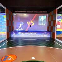 Immersive Interactive Sports AR Indoor Amusement Game Machine Ar Baseball Simulator
