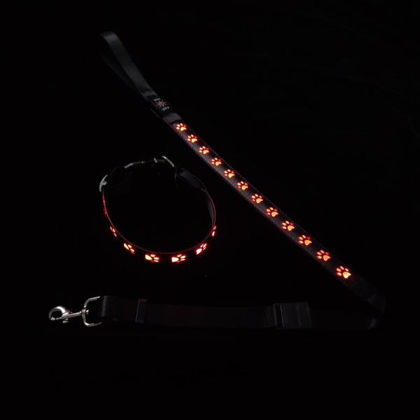 Rechargeable Led Dog Leash Illuminating Walking Night Glowing USB Rivet Decoration