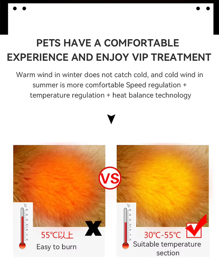 Sèche-cheveux pour animaux de compagnie à séchage rapide et haute puissance avec 4 buses et construction en plastique ABS pour le toilettage professionnel