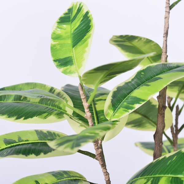Latest New Arrival Artificial Indoor Plants Potted Plants Green White Faux Rubber Tree for Decoration Office Small Plastic