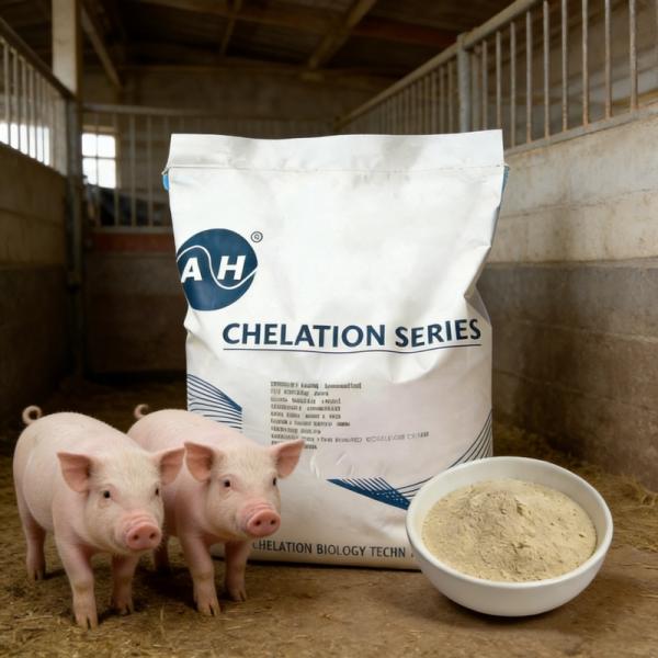 Calcium Amino Acid Chelate 10% Feed Additive for Livestock Poultry & Aquaculture