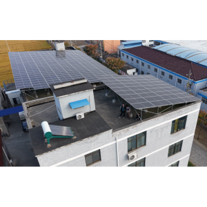 Shanghai Senyu Industrial Co., Ltd