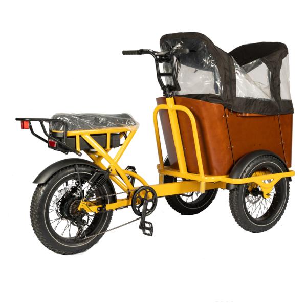 NO Foldable Three Wheel Cargo Tricycle E-bike for Family and Food Delivery Customizable