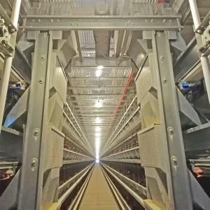 V dão forma ao alimentador automático de aço das aves domésticas de 8.67m/Min
