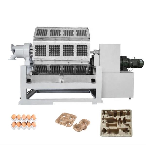 11KW 水力パルパー紙パルプ鋳造機 高電圧220V-440V紙卵トレイ カートンとリンゴトレイの乾燥