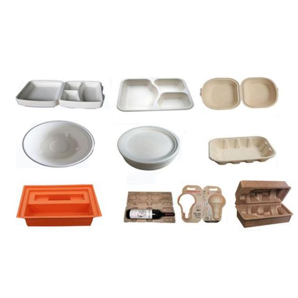 Засыхание машины бумажной пульпы Thermoforming отливая в форму в прессформе, 30kg-300kg/h