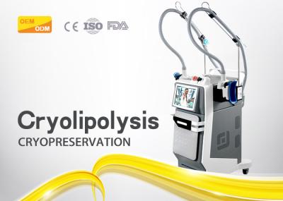 Gray Fat Reduction Cryolipolysis Slimming Machine With Double Handle