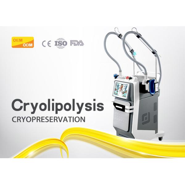 Metal Cryolpolysis Slimming Machine Frozen Weight Loss RF Cavitation For Body