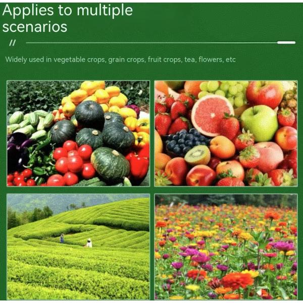 25 Kg de promoción de las raíces Fulfato de potasio 98 95 Superhumato de potasio 95 98 Fuente mineral Fulfato de potasio