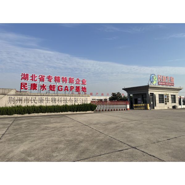 Ultra Pure Leech Powder 500ATU/G 1kg Standardized For Biomedical Raw Material