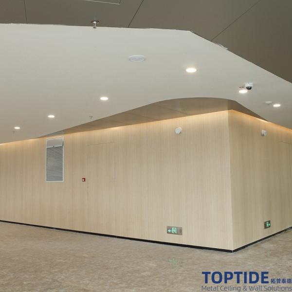 RAL9016 Metal Baffle Ceiling