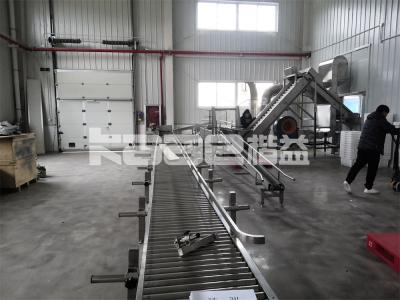 Nuts Ginger Conveyor Dryer Machine Fish Chilli Dryer Machine