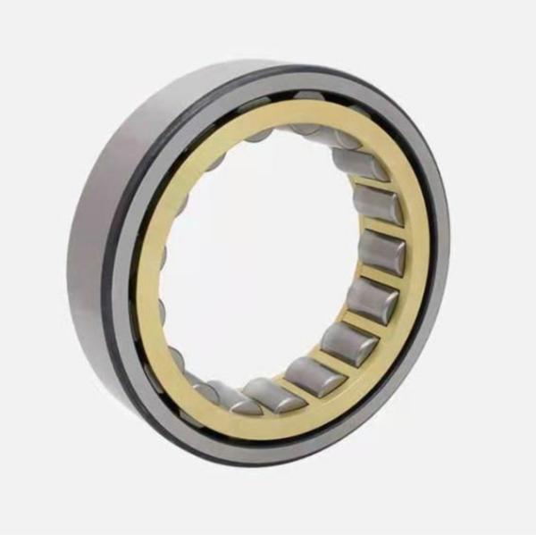 Full Complement Cylindrical Roller Bearings NJ205 NJ220 NJ200 Series