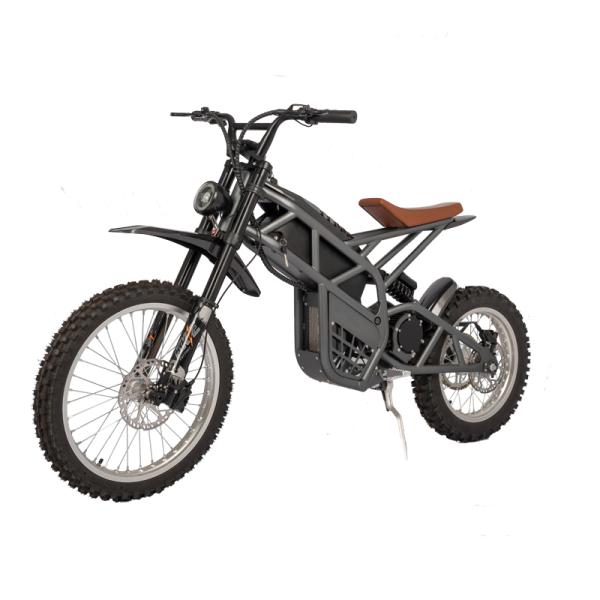 Steel Frame Fat Tire Bicycle Electric Dirt Bike for Men Rear Hub Motor Braking System
