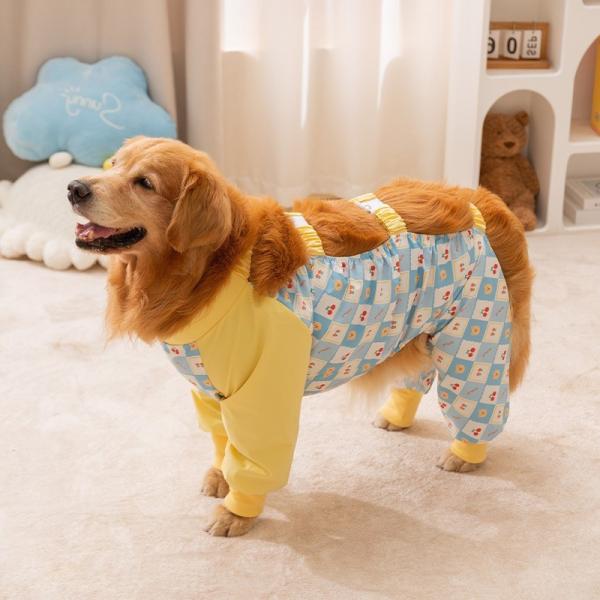 Ropa para perros, ropa para perros, ropa para perros, ropa para perros, ropa para perros, ropa para perros.