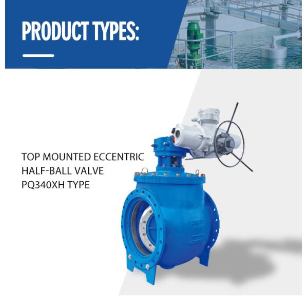 China 4 Inch Top Mounted Flange Eccentric High Pressure Half Ball Check Valve